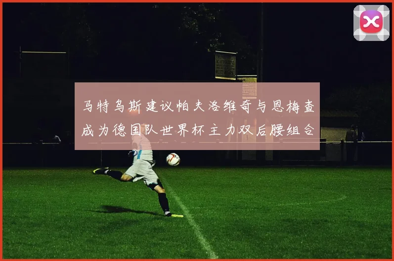 马特乌斯建议帕夫洛维奇与恩梅查成为德国队世界杯主力双后腰组合