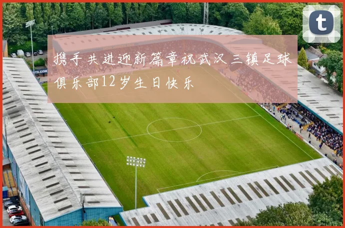 携手共进迎新篇章祝武汉三镇足球俱乐部12岁生日快乐