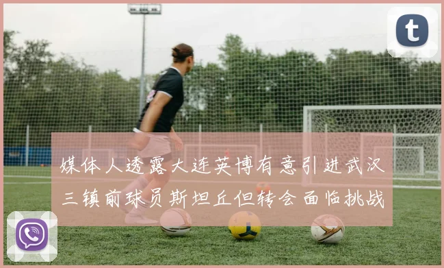 媒体人透露大连英博有意引进武汉三镇前球员斯坦丘但转会面临挑战
