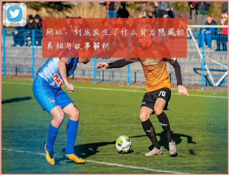 所以，到底发生了什么背后隐藏的真相与故事解析