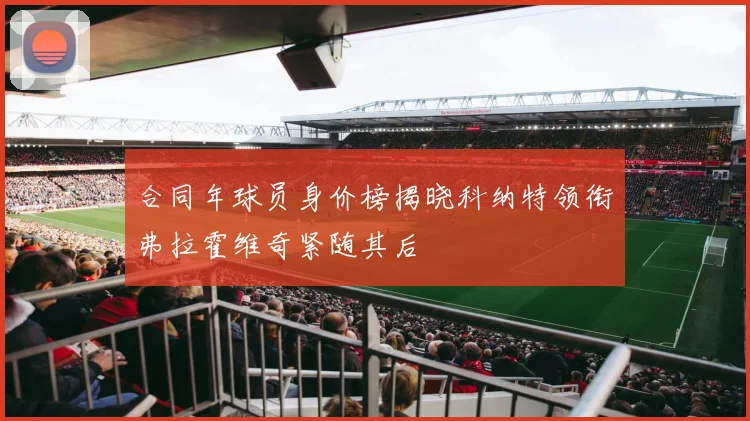 合同年球员身价榜揭晓科纳特领衔弗拉霍维奇紧随其后