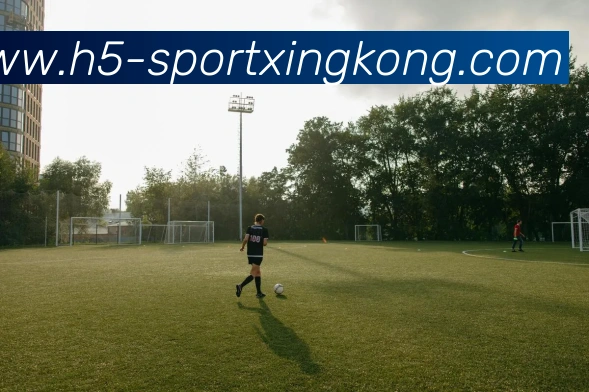 星空体育服务体系